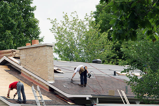 Best Roof Gutter Cleaning  in North Ogden, UT